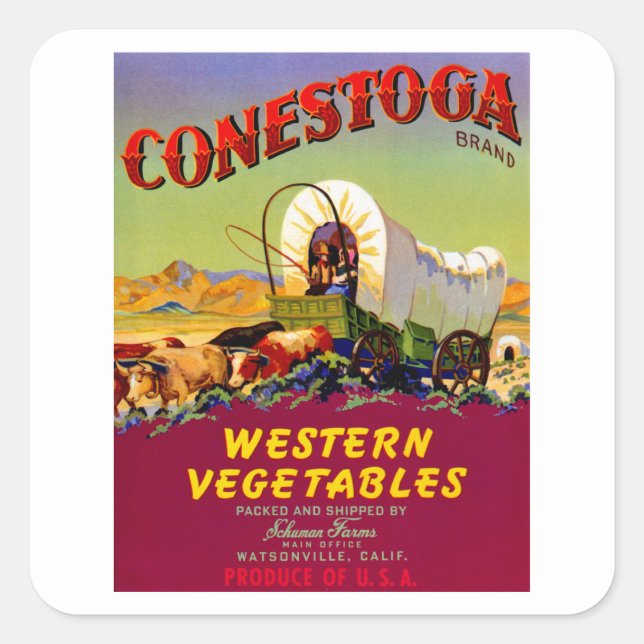 Conestoga Western Gemüse Quadratischer Aufkleber (Vorderseite)
