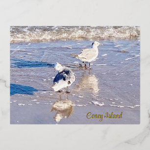 Coney Island Seagulls Folien Feiertagspostkarte