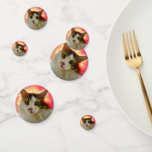 Confettis Adorable Cute Calico Chat