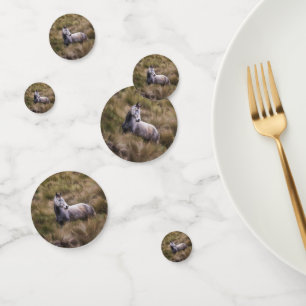 Confettis Beau cheval gris couleur