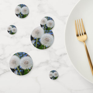 Confettis bleu, beurtasse, plante, pissenlit, prairie, blanc