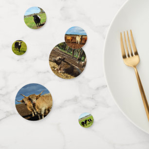Confettis Images De Vaches Mixtes,