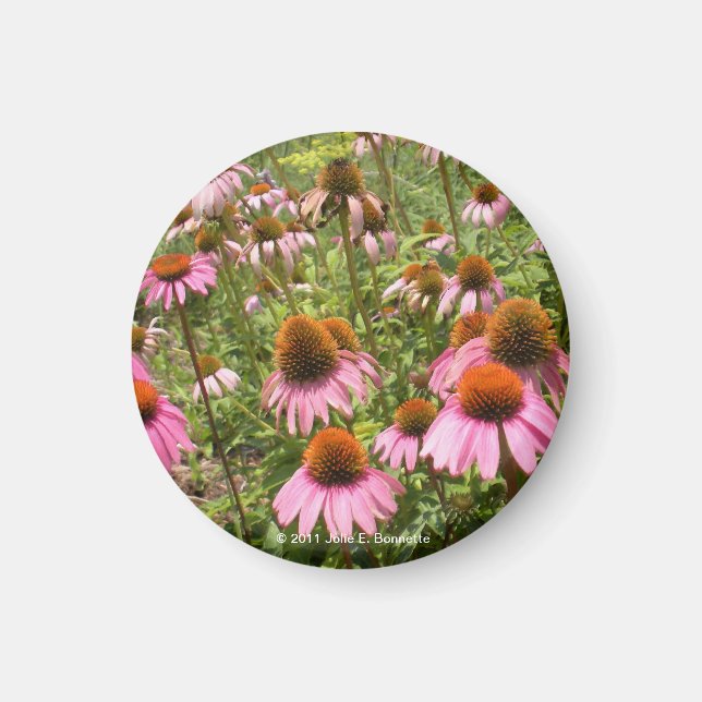 Confewers Magnet (Vorne)
