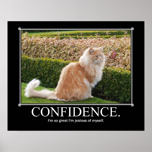 Confidence Cat Artwork Funny Poster (Vorne)