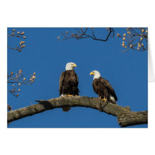 Confortable Autour De Vous