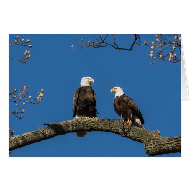 Confortable Autour De Vous (Devant horizontal)