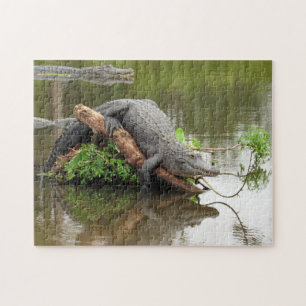 Confortable Gator Puzzle