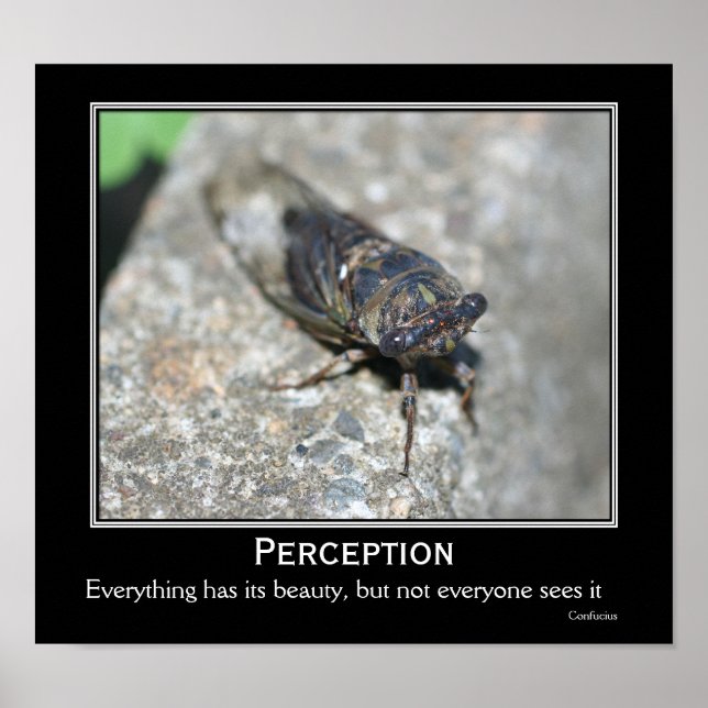 Confucius Zitat Beauty Cicada Motivierend Poster (Vorne)