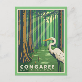 Congaree National Park SC Postcard Postkarte