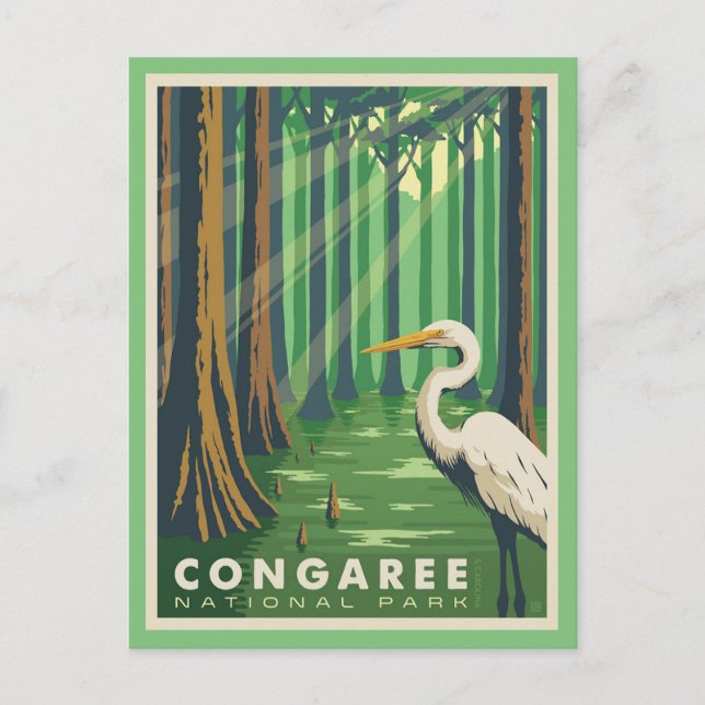 Congaree National Park SC Postcard Postkarte (Vorderseite)