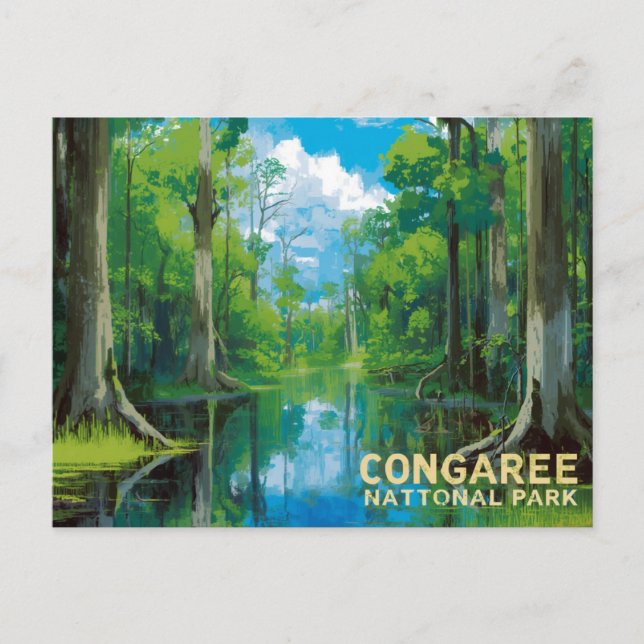 Congaree National Park Swamp Art Postkarte (Vorderseite)