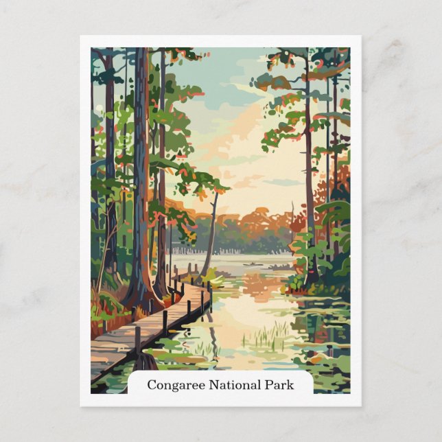 Congaree National Park USA Carte postale (Devant)