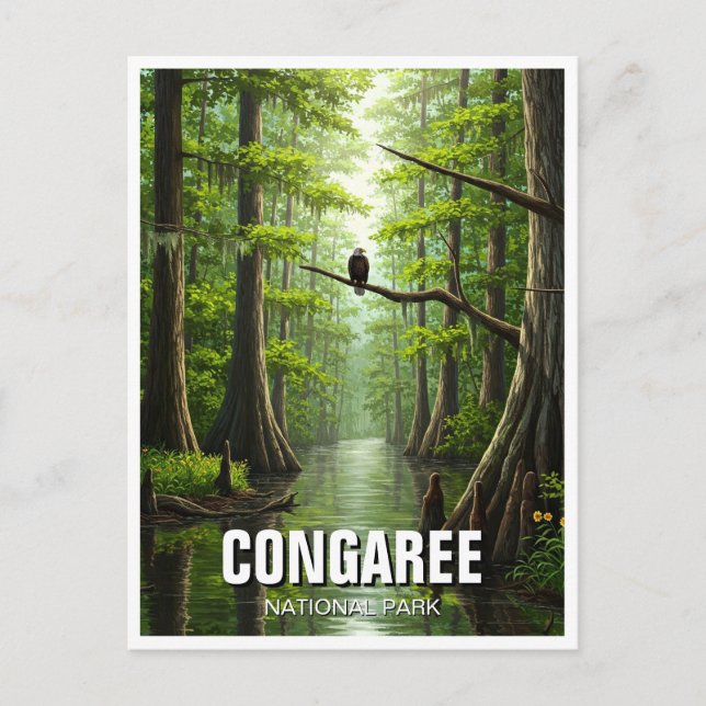 Congaree Nationalpark Süd Carolina Postkarte (Vorderseite)