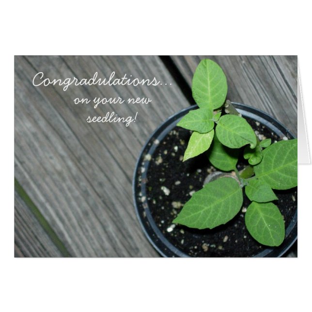 Congradulations! (Vorderseite (Horizontal))