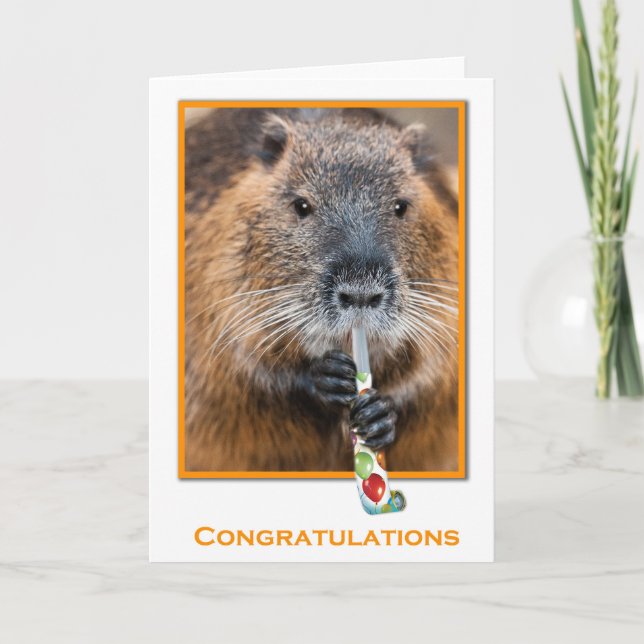 Congratulations card of beaver with flute karte (Vorderseite)