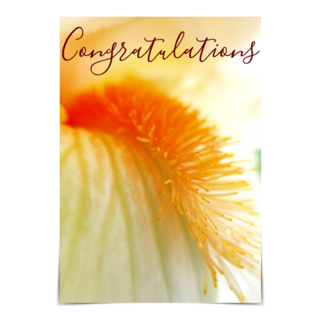 "Congratulations": carte Iris Aiguillée (Créateur téléchargé)