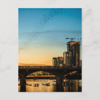 Congress Avenue Bridge Bat Watching Postkarte