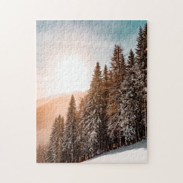 Conifer Pine Trees Snowy Forest Sunrise Nature (Vertikal)
