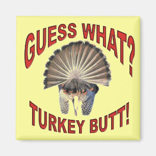 Conjecture ce qui ? Bout de la Turquie ! Aimant