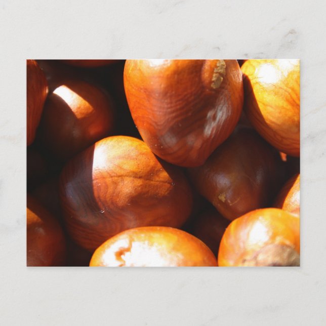 Conkers Postkarte (Vorderseite)