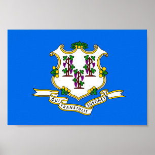 Connecticut-Flagge Poster