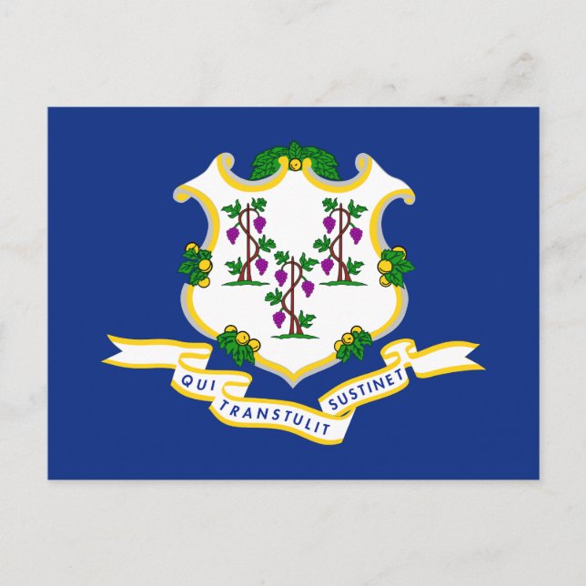 Connecticut-Flagge Postkarte (Vorderseite)