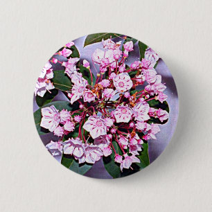 Connecticut-Laurel Button