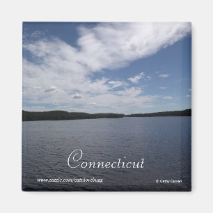 Connecticut Magnet