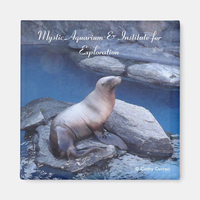 Connecticut Magnet (Vorne)