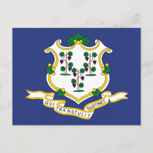 Connecticut Staatsflagge Postkarte