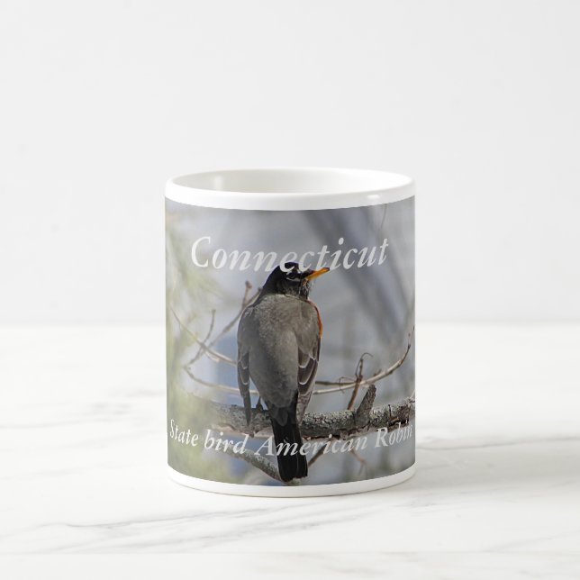 Connecticut-Staatsvogel-Foto-Tasse Kaffeetasse (Mittel)