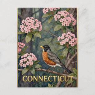 Connecticut State Bird & Berglorbeer-Natur Postkarte