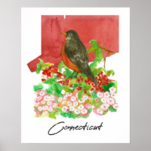 Connecticut State Robin Vogel Rot Aquarell  Poster
