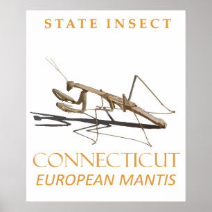 Connecticut-Territorium Insekt Mantis religiosa Poster