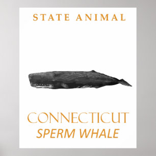 Connecticut-Territorium Tier Physeter macrocephalu Poster