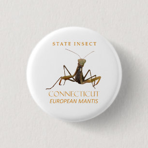 Connecticut Territory Insekt Die Europäische Gotte Button