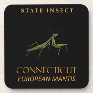 Connecticut Territory Insekt Die Gottesanbeterin Getränkeuntersetzer