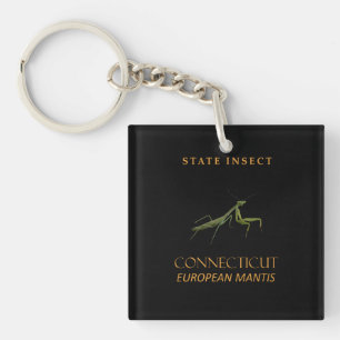 Connecticut Territory Insekt Die Gottesanbeterin Schlüsselanhänger