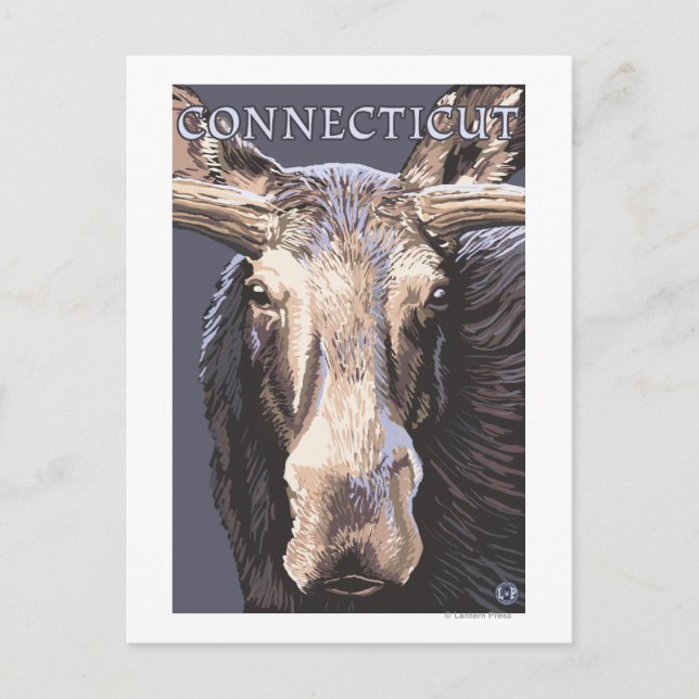 ConnecticutMoose Nah Postkarte (Vorderseite)