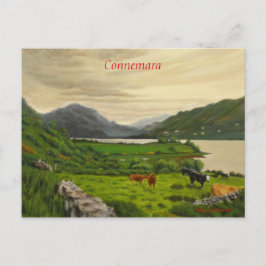 Connemara Irland Landschaftlicher Rinderzuchtbetri Postkarte