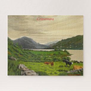 Connemara Irland malerischer Rinderhof mit Pferd