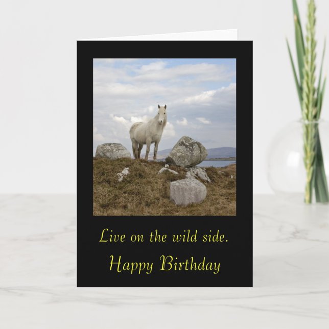 Connemara Pony, Lebe auf der wilden Seite. , Happy Karte (Vorderseite)