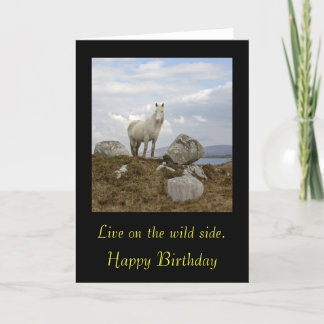 Connemara Pony, Lebe auf der wilden Seite. , Happy Karte