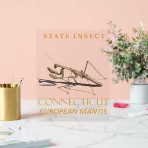 Conneticut Territory Insect Mantis religiosa Acrylschild