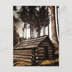 CONNEXION MAISON CABINE DANS LA FORÊT CARTES POSTA