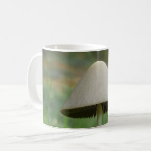 Conocybe rickenii Mug de champignons