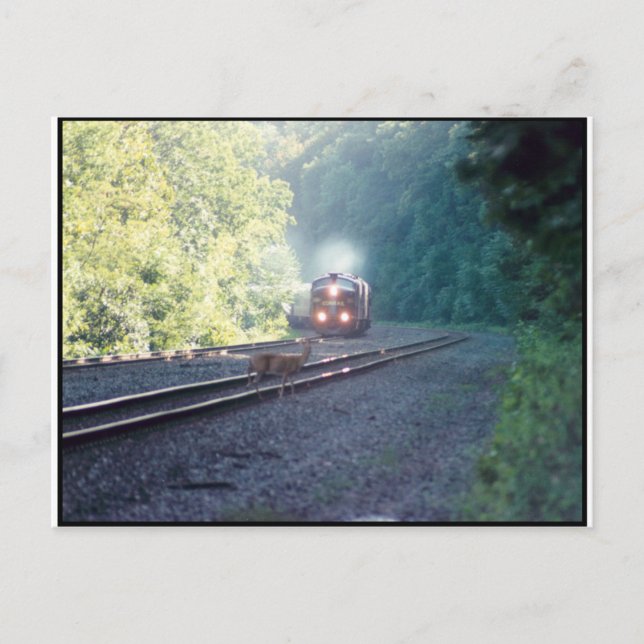 Conrail Office Car Train - OCS 8/22/97 Postkarte (Vorderseite)