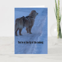 Conseil De L'Iceberg, Vous Avez Cette - Carte