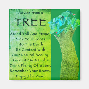 Conseil d'un aimant d'arbre