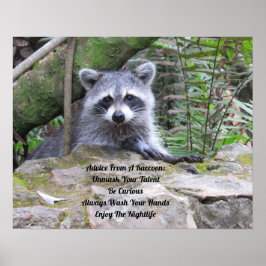 Conseil D'Une Poster Raccoon